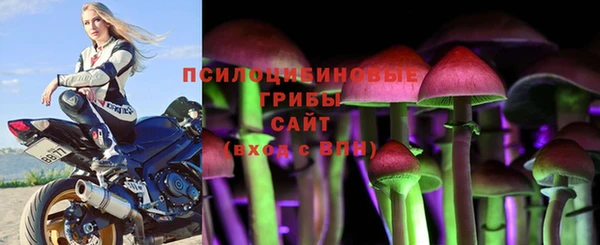 бошки Алзамай