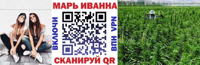 Каннабис сатива  Асино 